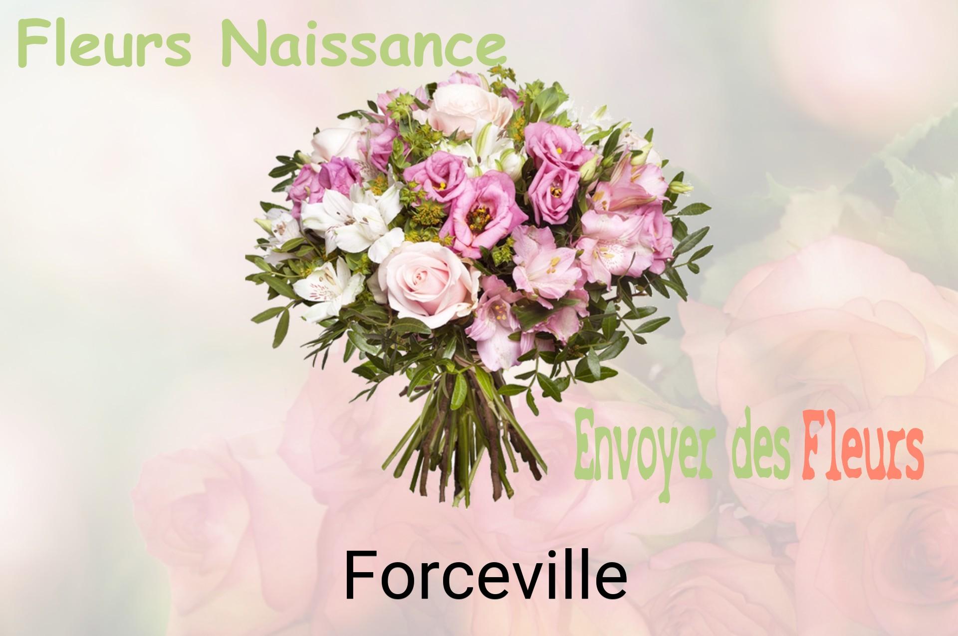 Bouquet de fleurs de naissance livré à Forceville